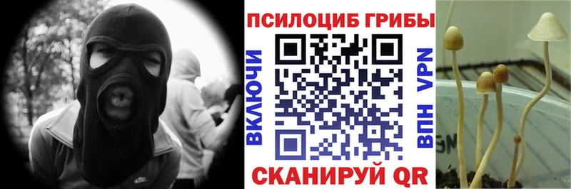 Галлюциногенные грибы GOLDEN TEACHER Приволжск