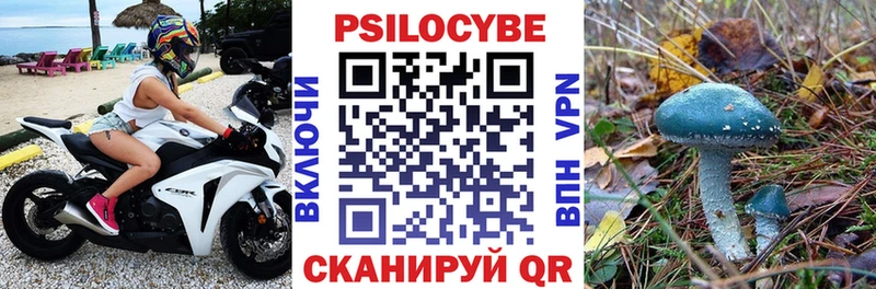 Галлюциногенные грибы прущие грибы  Приволжск 